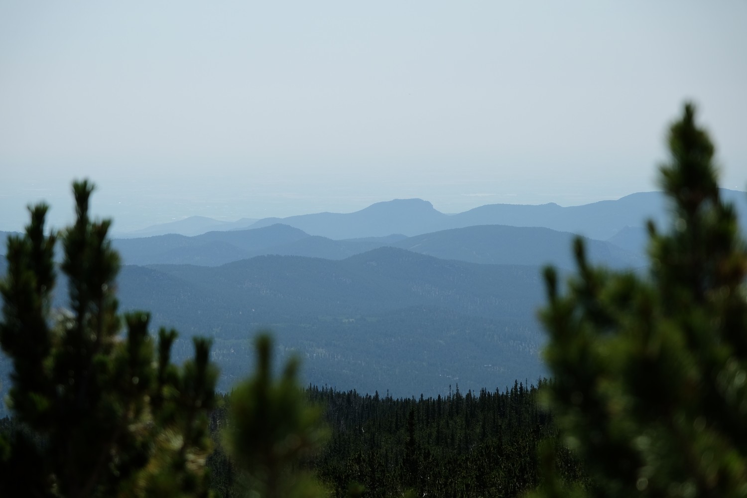 Hazy silhouettes of hills in the distance framed by out of focus trees in the foreground